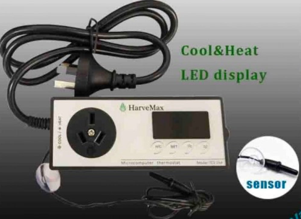 Electronic Thermostat