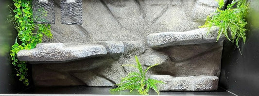 4x2 Back Ledge Wall B407