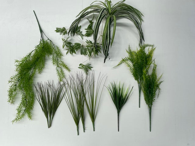 Plant Bundle 1 (PBL01)