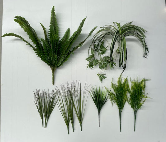 Plant Bundle 2 (PBL02)